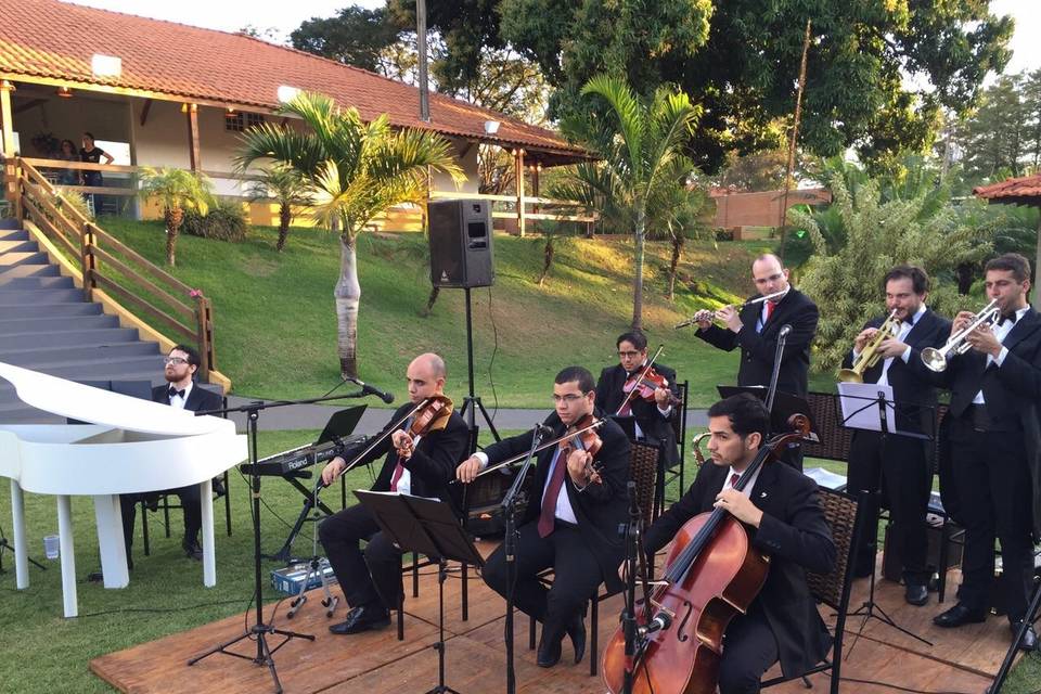 Apresentação 1